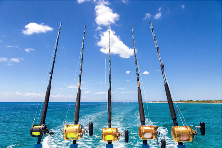 Screenshot 2026-01-28 at 2.37.52 PM.png