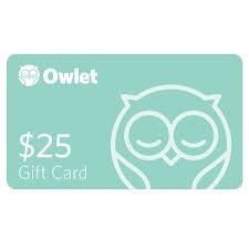 owlet.jpeg