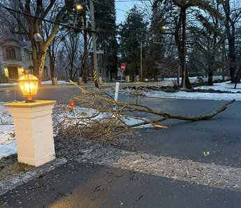 Screenshot 2026-03-12 at 12.33.27 PM copy.jpg