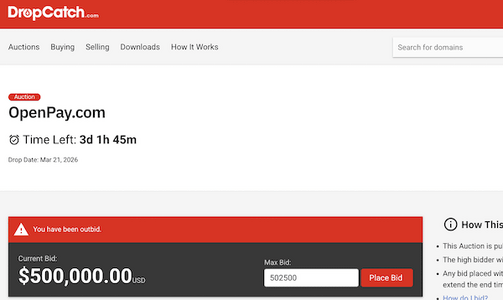 OpenPay.com-Auction-on-DropCatch.png