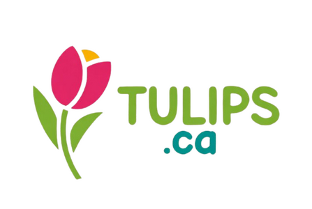 tulips.png