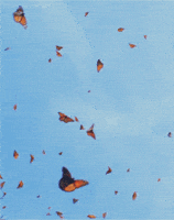 200.gif