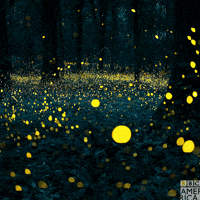 200.gif