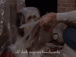 200.gif