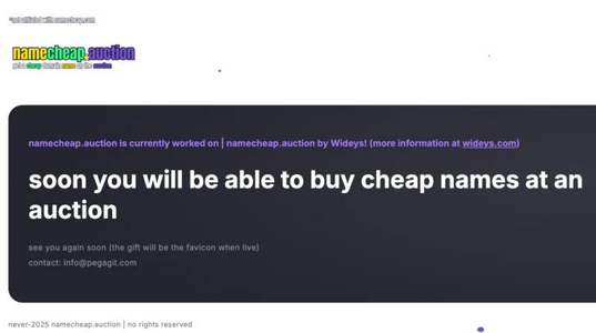 namecheap-auction-728x407.png
