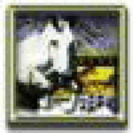 Grtoryhoile