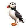 Puffin