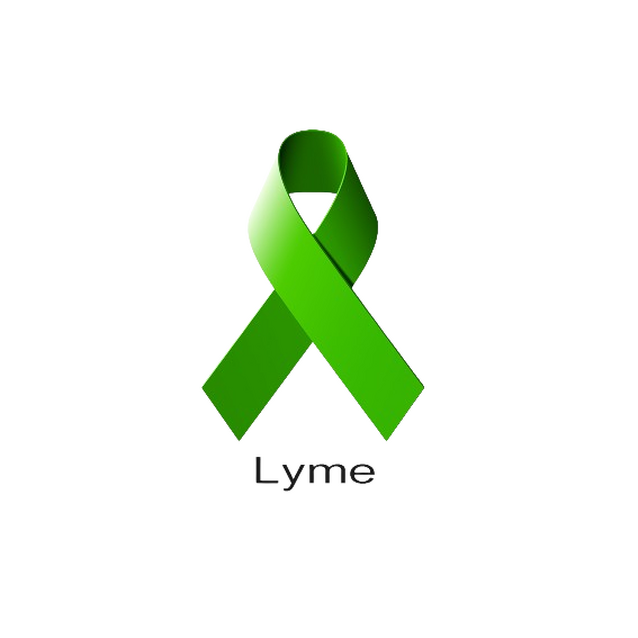 Lyme.ca - $24,000